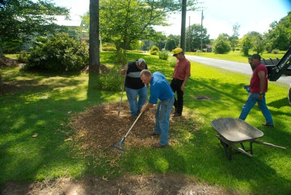 Taylor-Way Stump Grinder