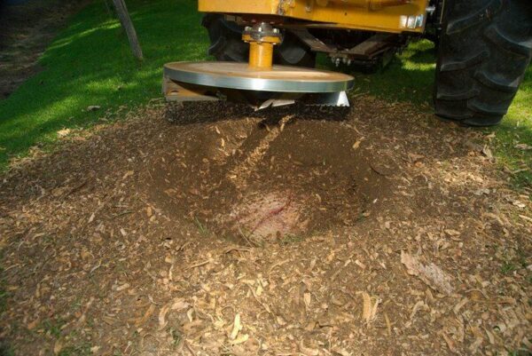 Taylor-Way Stump Grinder