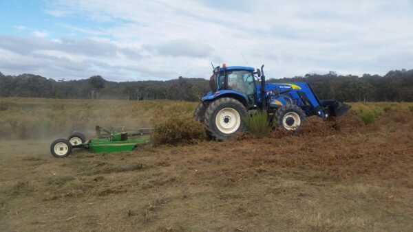 Taylor-Way 15ft Slasher Cutting Biddy Bush